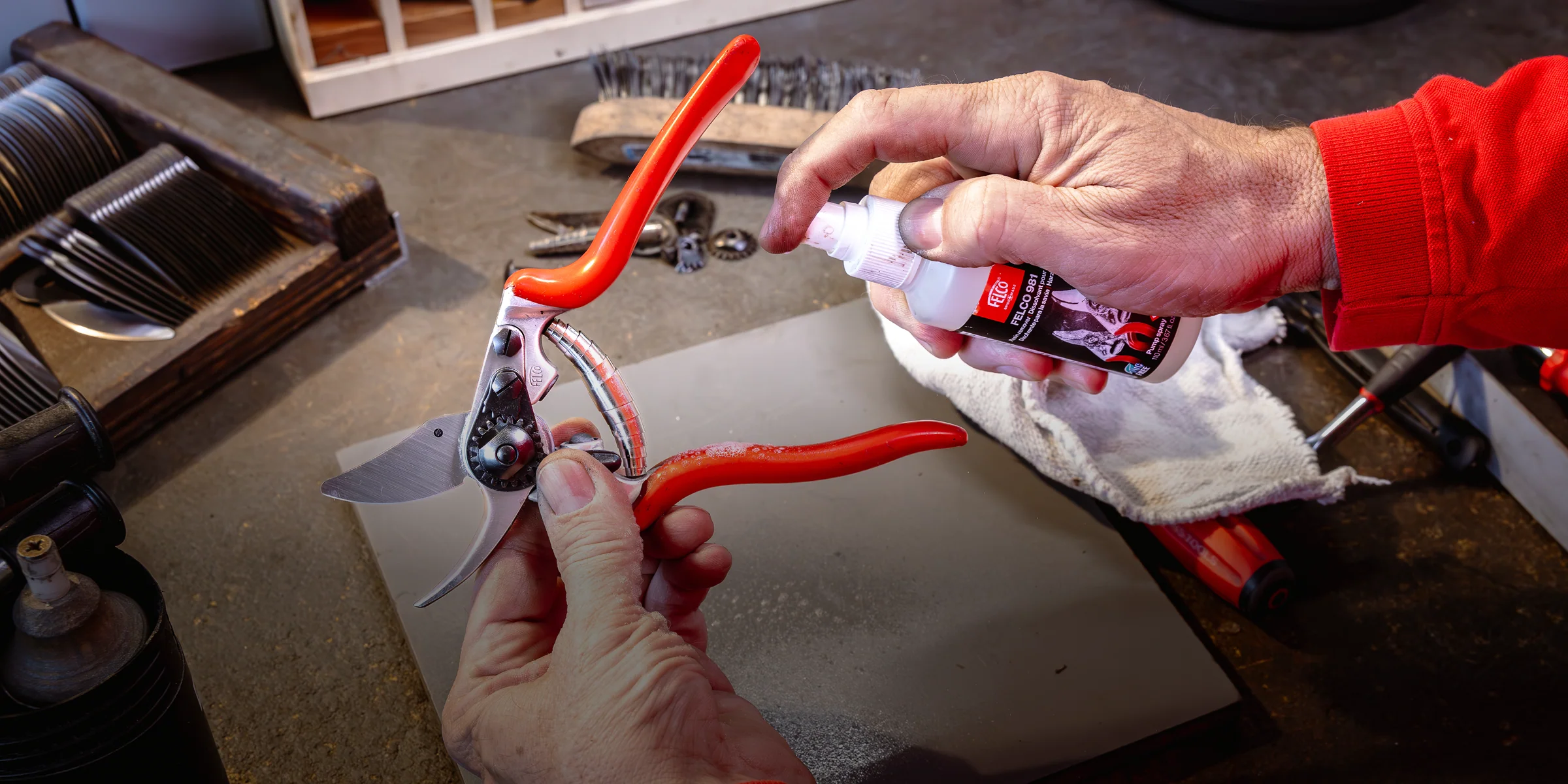Swiss Precision for Every Cut