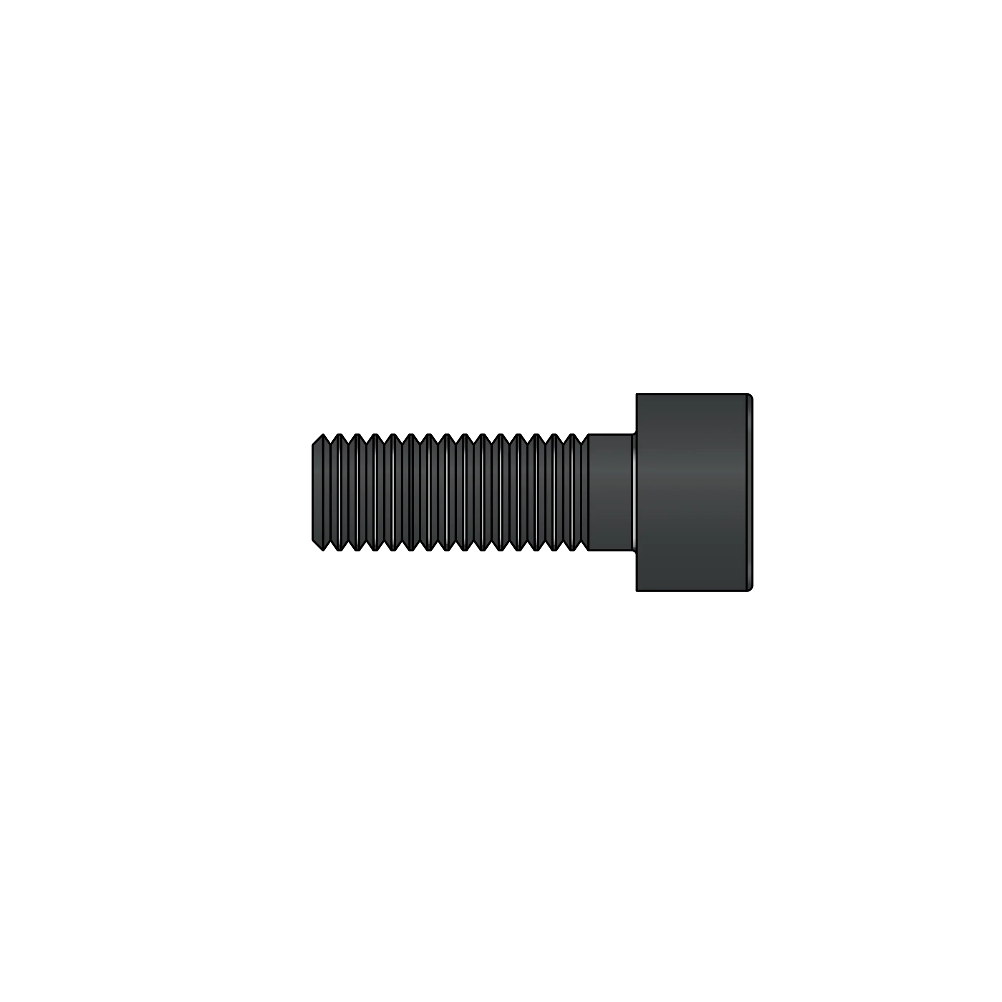 221/14 Screw