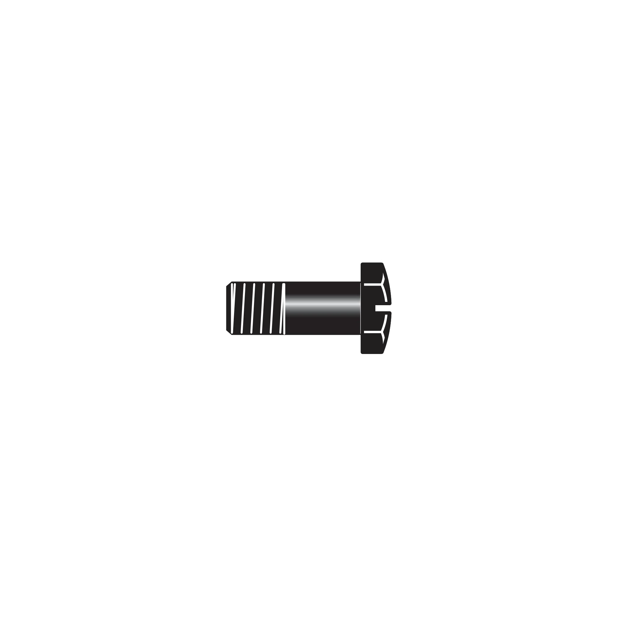 6/7 Screw for toothed segment
