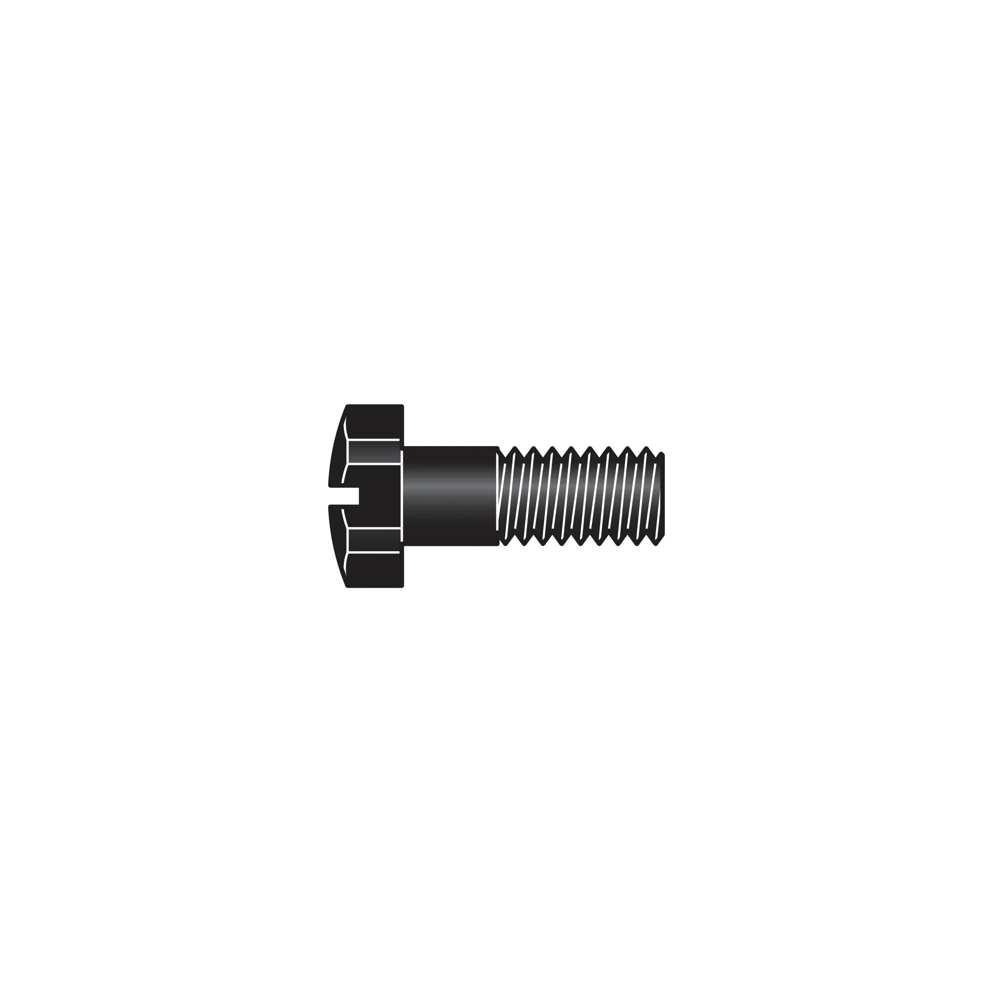 70/68 Safety screw