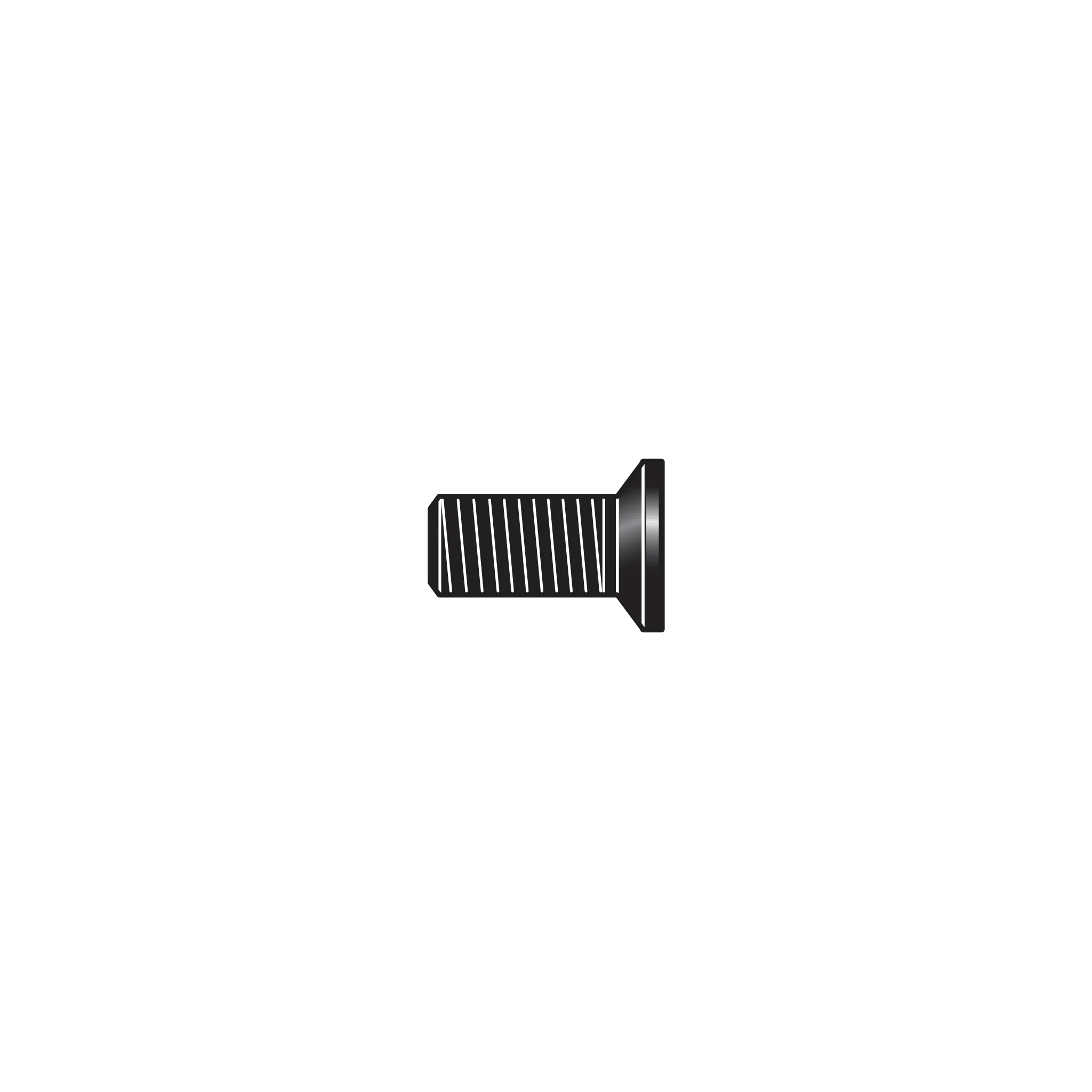 C108/10 Hex screw