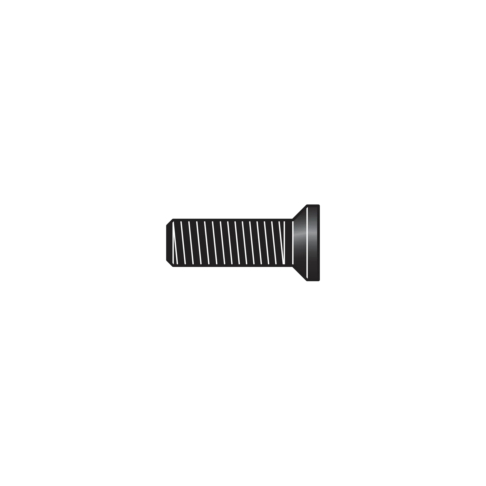 C16/10 Hex screw